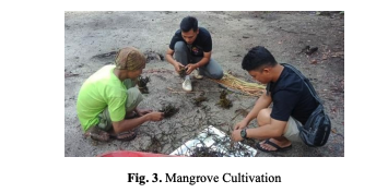 Mangrove Ecotourism Management in Batam City: Aspects of Sustainable Financing Models Slyacademy.com